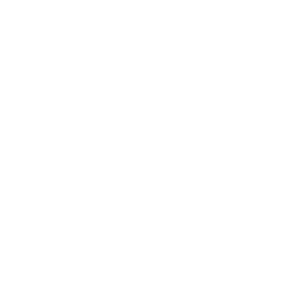 Planet Coaster icon